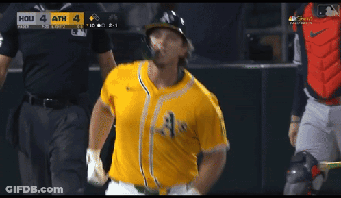 Baseball Game In California GIF