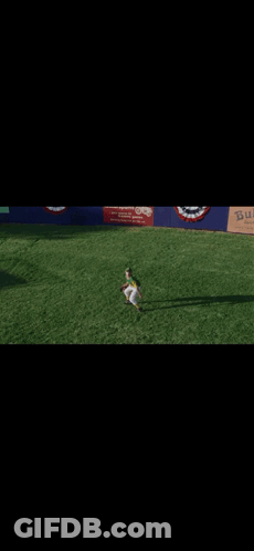 Baseball Game In Front Of Butcher Banner GIF