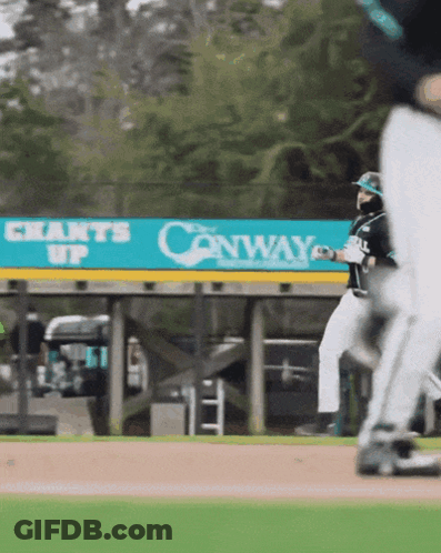 Baseball Game In Front Of Canway Banner GIF