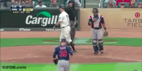 Baseball Game In Front Of Cargill Sign GIF