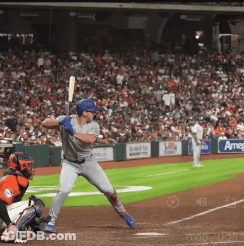 Baseball Game In Front Of Crowd With Ameg Sign GIF