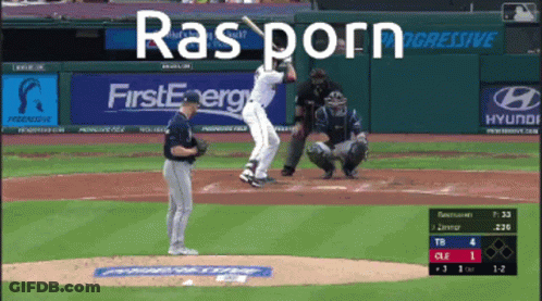 Baseball Game In Front Of First Energy Ad GIF