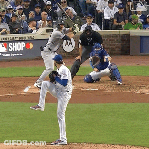 Baseball Game In Front Of Harry Caray Bobblehead Sign GIF