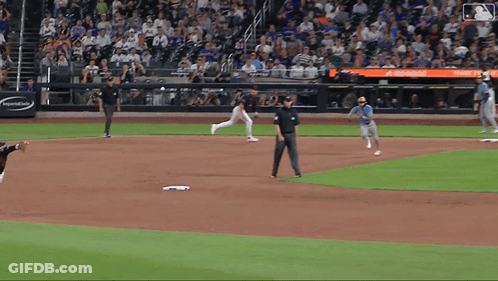Baseball Game In Front Of Home Plate Sign GIF