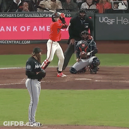 Baseball Game In Front Of Mother's Day Quilted Tote GIF