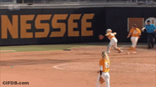 Baseball Game In Front Of Nesssee Sign GIF