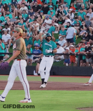 Baseball Game In Front Of Pepsi Sign GIF