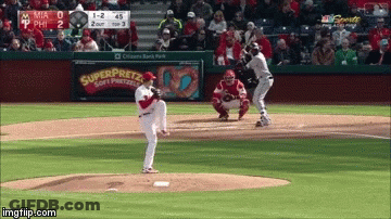 Baseball Game In Front Of Pretzel Ad GIF