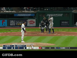 Baseball Game In Front Of Progressive Ad GIF