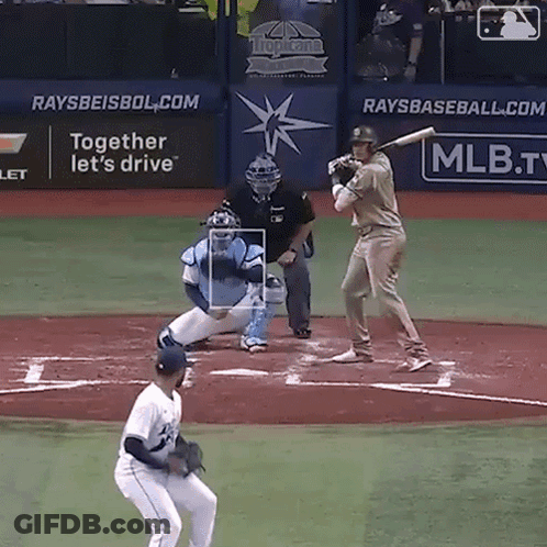 Baseball Game In Front Of Raysbaseball.com Sign GIF