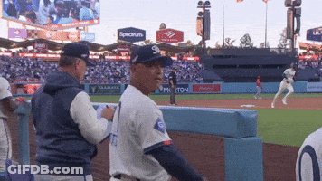 Baseball Game In Front Of Spectrum Sign GIF