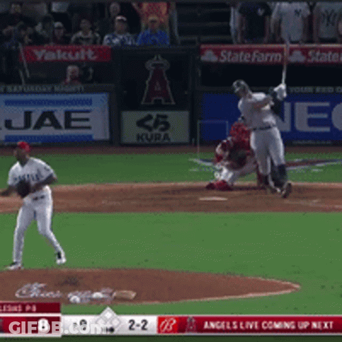 Baseball Game In Front Of State Farm Banner GIF