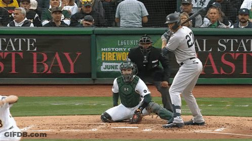 Baseball Game In Front Of Tate St Bay Sign GIF