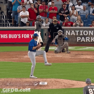 Baseball Game In Front Of This Bud's For You Banner GIF