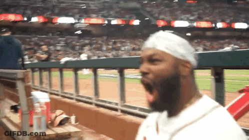 Baseball Game In Front Of Vizzy Hard Seltzer Ad GIF