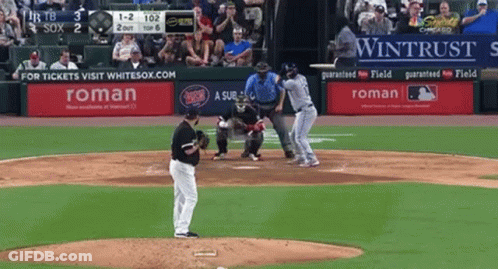 Baseball Game In Front Of Wintrest Ad GIF