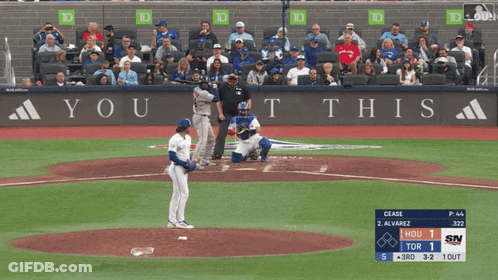 Baseball Game In Front Of You This Sign GIF
