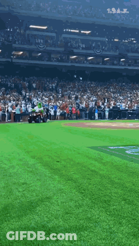 Baseball Game In Stadium GIF
