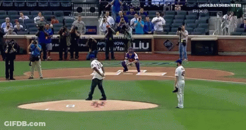 Baseball Game In Stadium With Ad For Liu GIF