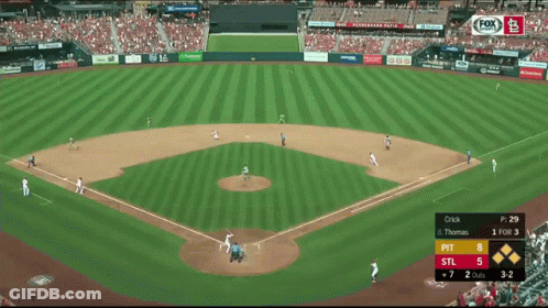 Baseball Game In Stadium With DeWalt Ads GIF