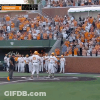 Baseball Game In Stadium With Tennessee Sign GIF