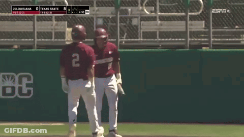 Baseball Game Louisiana Vs Texas State GIF