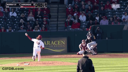 Baseball Game Murray St Vs Arkansas 3-2 GIF