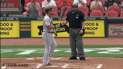 Baseball Game On August 11 GIF
