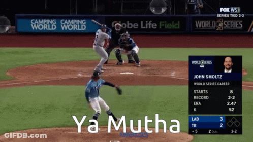 Baseball Game On Fox WS GIF