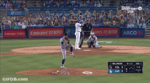 Baseball Game On Sportsnet Live GIF
