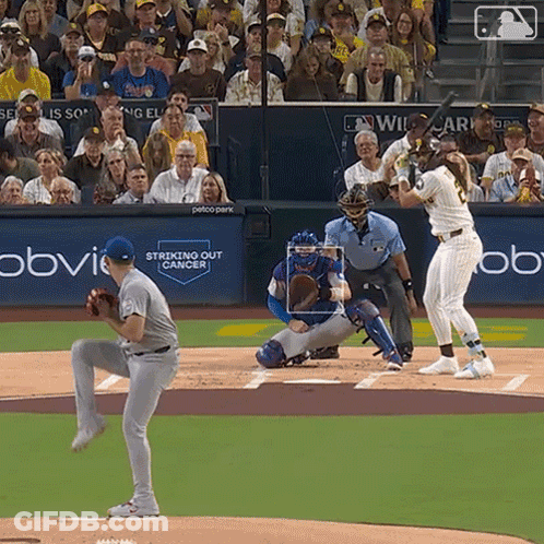 Baseball Game Strike Out Cancer Banner GIF