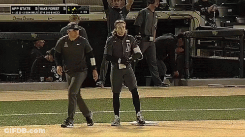 Baseball Game Wake Forest Vs App State GIF