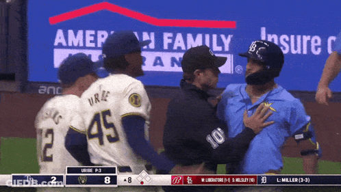 Baseball Game With American Family Advertisement GIF