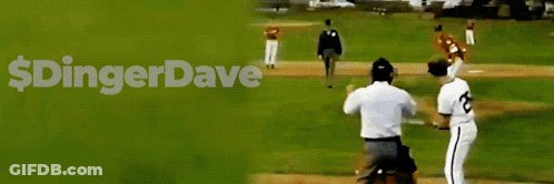 Baseball Game With $ Dingerdave Sign GIF