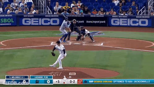 Baseball Game With Geico Advertisements GIF