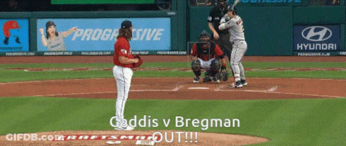 Baseball Game With Hyundai And Progressive Ads GIF