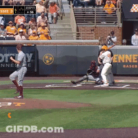 Baseball Game With Ottawa Banner GIF
