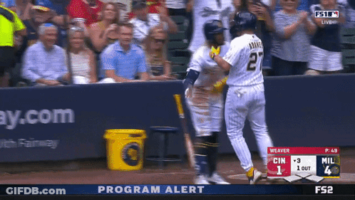 Baseball Game With Program Alert GIF