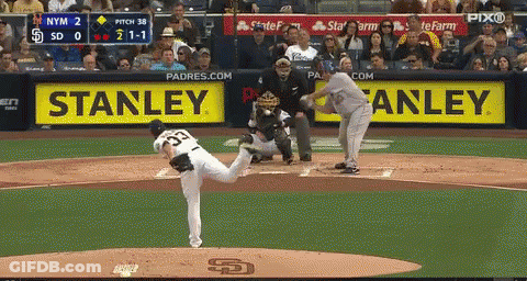 Baseball Game With Stanley Ad GIF