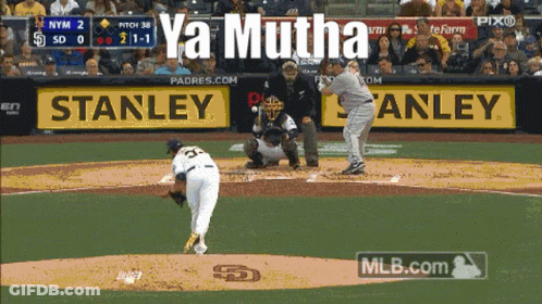 Baseball Game With Stanley Ads GIF