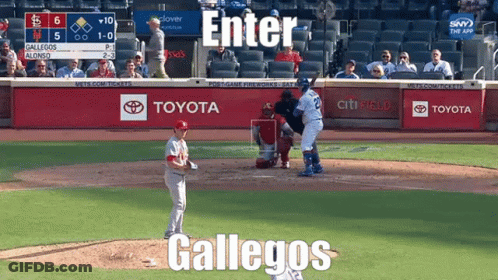Baseball Game With Toyota And Citi Field Ads GIF