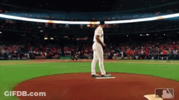 Baseball Pitcher Ready To Throw GIF