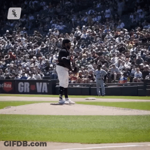 Baseball Pitcher Ready To Throw GIF