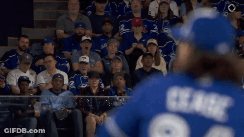 Baseball Player 2 Jersey Fans GIF