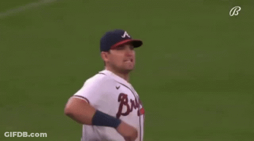 Baseball Player About To Throw Before Crowd GIF
