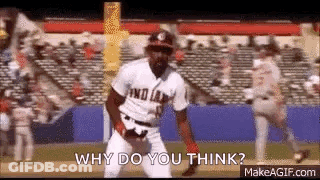 Baseball Player Asking Why Do You Think GIF