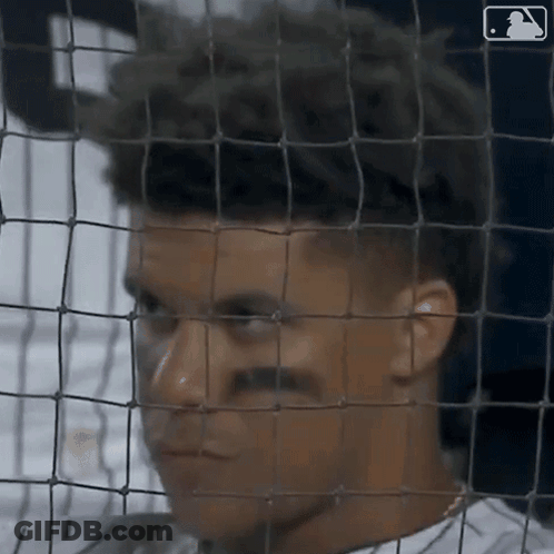 Baseball Player Behind Fence With Logo GIF