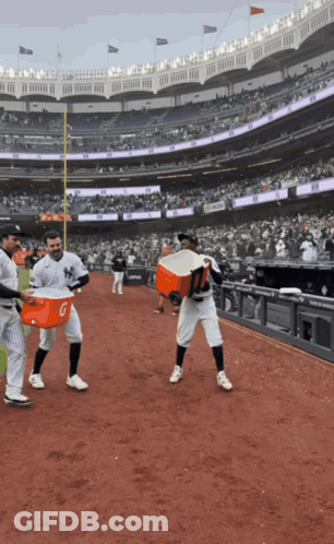 Baseball Player Carrying Cooler With Letter G GIF