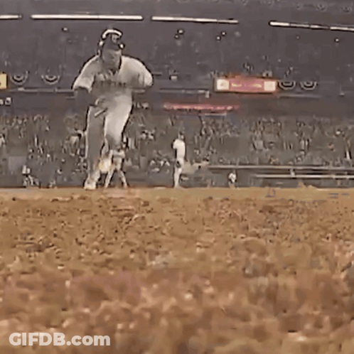 Baseball Player Catching Ball GIF