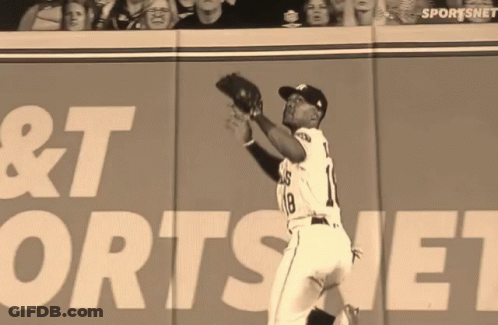 Baseball Player Catching Ball In Front Of Sportsnet Ad GIF
